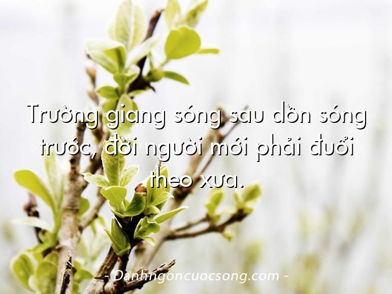 Trường giang sóng sau dồn sóng trước, đời người mới phải đuổi theo xưa.