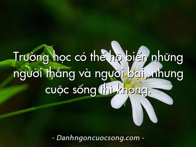 Trường học có thể hô biến những người thắng và người bại, nhưng cuộc sống thì không.