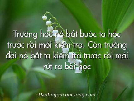 Trường học nó bắt buộc ta học trước rồi mới kiểm tra. Còn trường đời nó bắt ta kiểm tra trước rồi mới rút ra bài học