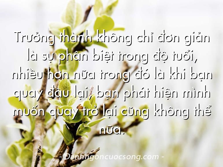 Trưởng thành không chỉ đơn giản là sự phân biệt trong độ tuổi, nhiều hơn nữa trong đó là khi bạn quay đầu lại, bạn phát hiện mình muốn quay trở lại cũng không thể nữa.