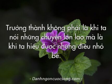 Trưởng thành không phải là khi ta nói những chuyện lớn lao mà là khi ta hiểu được những điều nhỏ bé.