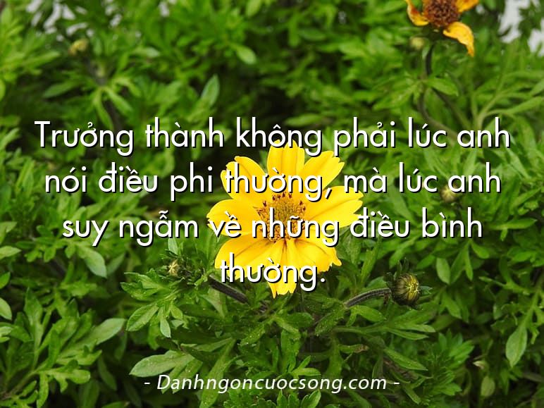 Trưởng thành không phải lúc anh nói điều phi thường, mà lúc anh suy ngẫm về những điều bình thường.