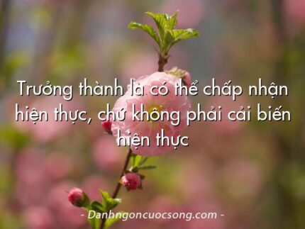 Trưởng thành là có thể chấp nhận hiện thực, chứ không phải cải biến hiện thực