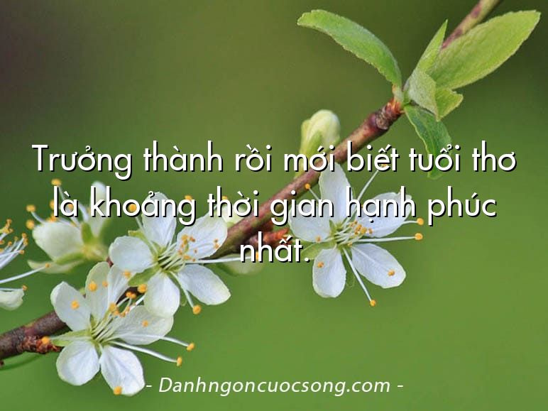 Trưởng thành rồi mới biết tuổi thơ là khoảng thời gian hạnh phúc nhất.