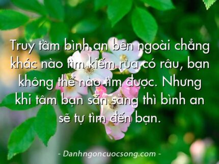 Truy tầm bình an bên ngoài chẳng khác nào tìm kiếm rùa có râu, bạn không thể nào tìm được. Nhưng khi tâm bạn sẵn sàng thì bình an sẽ tự tìm đến bạn.