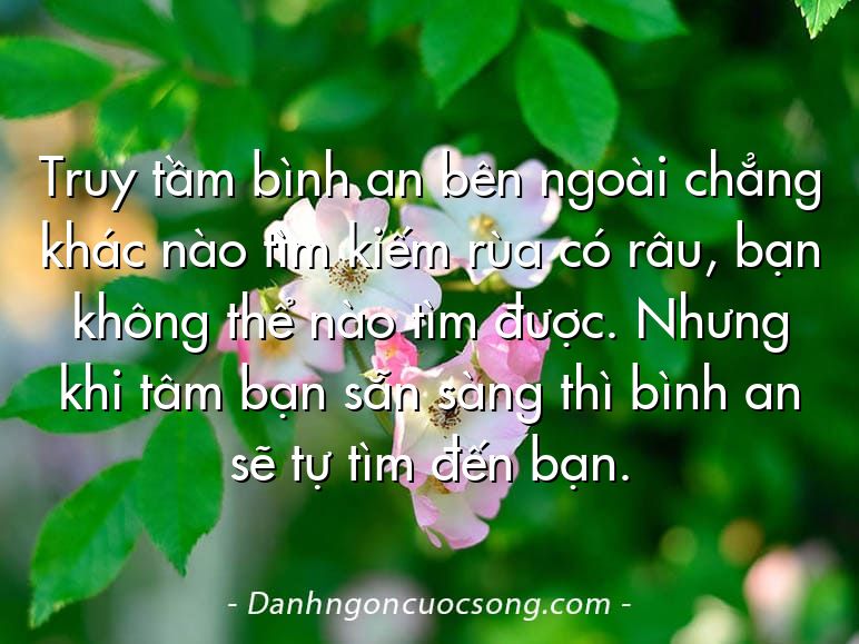 Truy tầm bình an bên ngoài chẳng khác nào tìm kiếm rùa có râu, bạn không thể nào tìm được. Nhưng khi tâm bạn sẵn sàng thì bình an sẽ tự tìm đến bạn.