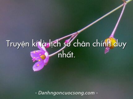 Truyện kí là lịch sử chân chính duy nhất.