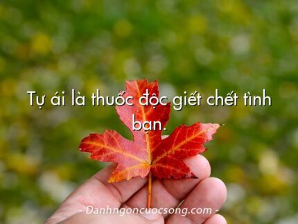 Tự ái là thuốc độc giết chết tình bạn.