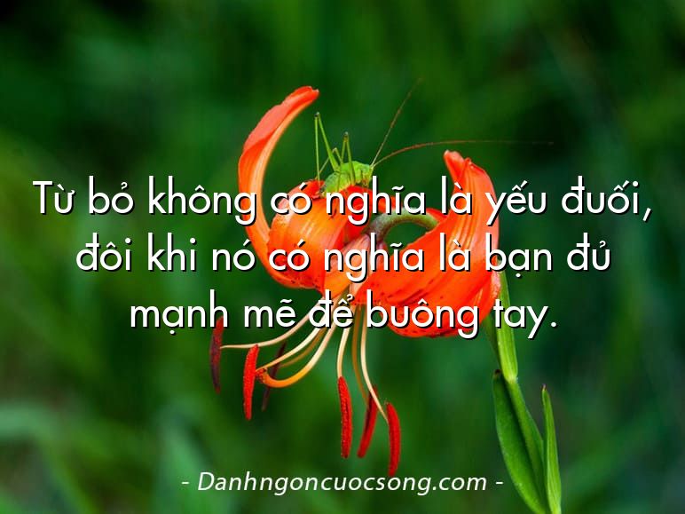 Từ bỏ không có nghĩa là yếu đuối, đôi khi nó có nghĩa là bạn đủ mạnh mẽ để buông tay.