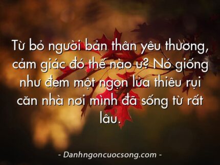 Từ bỏ người bản thân yêu thương, cảm giác đó thế nào ư? Nó giống như đem một ngọn lửa thiêu rụi căn nhà nơi mình đã sống từ rất lâu.