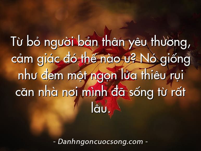 Từ bỏ người bản thân yêu thương, cảm giác đó thế nào ư? Nó giống như đem một ngọn lửa thiêu rụi căn nhà nơi mình đã sống từ rất lâu.