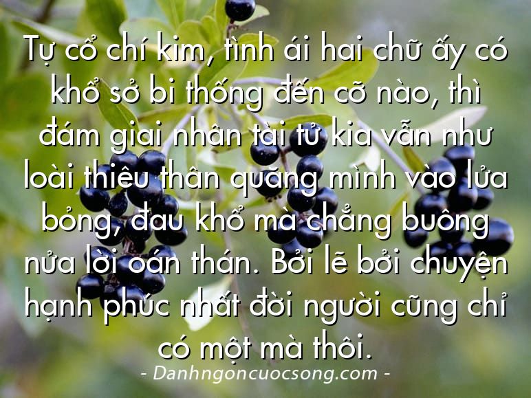 Tự cổ chí kim, tình ái hai chữ ấy có khổ sở bi thống đến cỡ nào, thì đám giai nhân tài tử kia vẫn như loài thiêu thân quăng mình vào lửa bỏng, đau khổ mà chẳng buông nửa lời oán thán. Bởi lẽ bởi chuyện hạnh phúc nhất đời người cũng chỉ có một mà thôi.