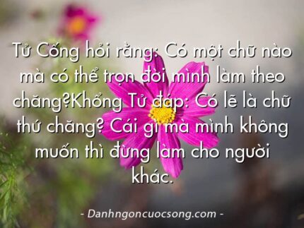 Tử Cống hỏi rằng: Có một chữ nào mà có thể trọn đời mình làm theo chăng?Khổng Tử đáp: Có lẽ là chữ thứ chăng? Cái gì mà mình không muốn thì đừng làm cho người khác.