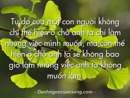Tự do của một con người không chỉ thể hiện ở chỗ anh ta chỉ làm những việc mình muốn, mà còn thể hiện ở chỗ anh ta sẽ không bao giờ làm những việc anh ta không muốn làm.