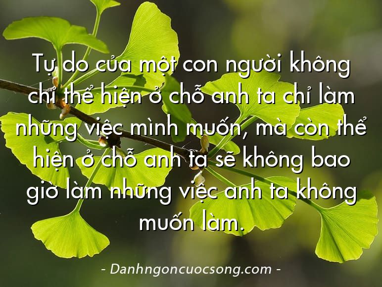 Tự do của một con người không chỉ thể hiện ở chỗ anh ta chỉ làm những việc mình muốn, mà còn thể hiện ở chỗ anh ta sẽ không bao giờ làm những việc anh ta không muốn làm.