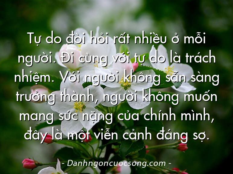Tự do đòi hỏi rất nhiều ở mỗi người. Đi cùng với tự do là trách nhiệm. Với người không sẵn sàng trưởng thành, người không muốn mang sức nặng của chính mình, đây là một viễn cảnh đáng sợ.