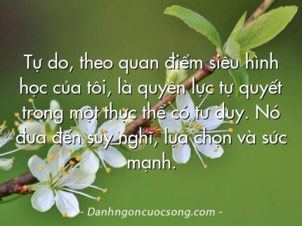 Tự do, theo quan điểm siêu hình học của tôi, là quyền lực tự quyết trong một thực thể có tư duy. Nó đưa đến suy nghĩ, lựa chọn và sức mạnh.