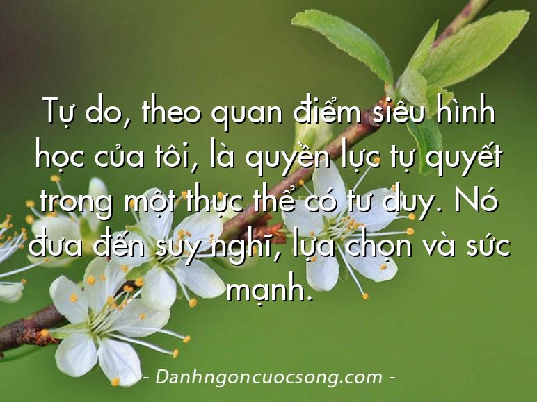 Tự do, theo quan điểm siêu hình học của tôi, là quyền lực tự quyết trong một thực thể có tư duy. Nó đưa đến suy nghĩ, lựa chọn và sức mạnh.