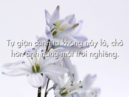 Tự giận cành ta không nảy lá, chớ hờn ánh nắng mặt trời nghiêng.