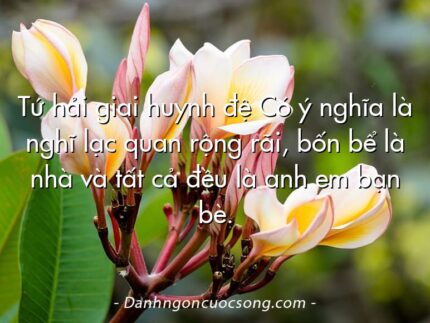 Tứ hải giai huynh đệ Có ý nghĩa là nghĩ lạc quan rộng rãi, bốn bể là nhà và tất cả đều là anh em bạn bè.