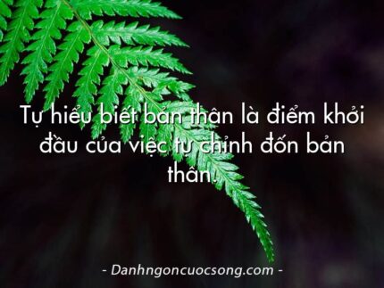 Tự hiểu biết bản thân là điểm khởi đầu của việc tự chỉnh đốn bản thân.