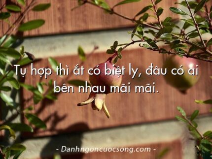 Tụ hợp thì ắt có biệt ly, đâu có ai bên nhau mãi mãi.