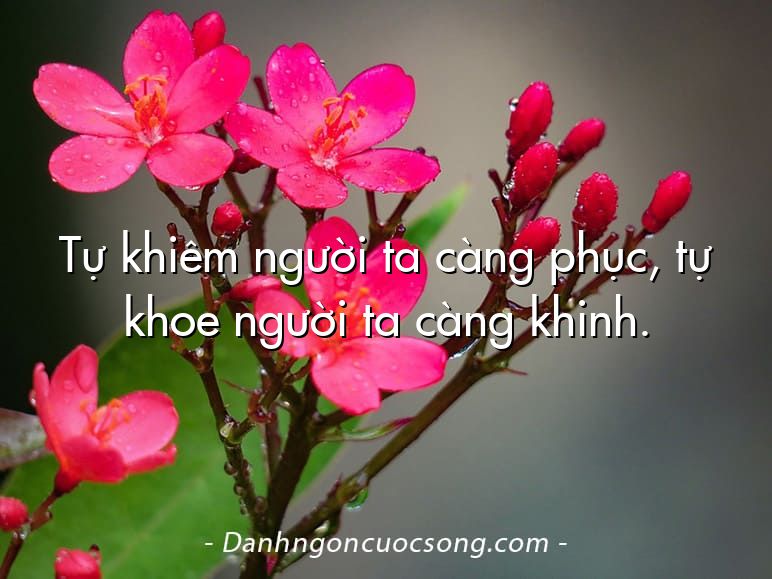 Tự khiêm người ta càng phục, tự khoe người ta càng khinh.