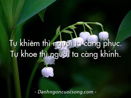 Tự khiêm thì người ta càng phục. Tự khoe thì người ta càng khinh.