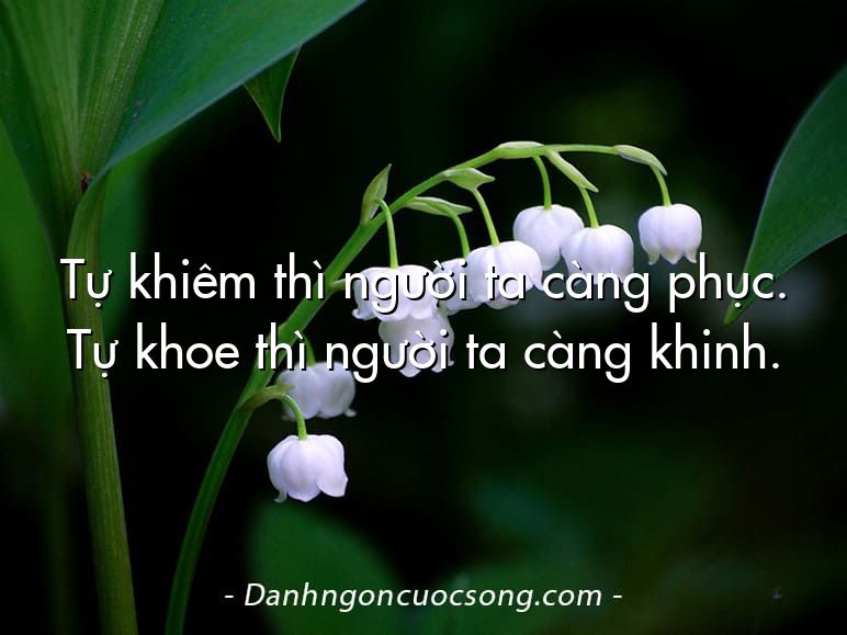 Tự khiêm thì người ta càng phục. Tự khoe thì người ta càng khinh.