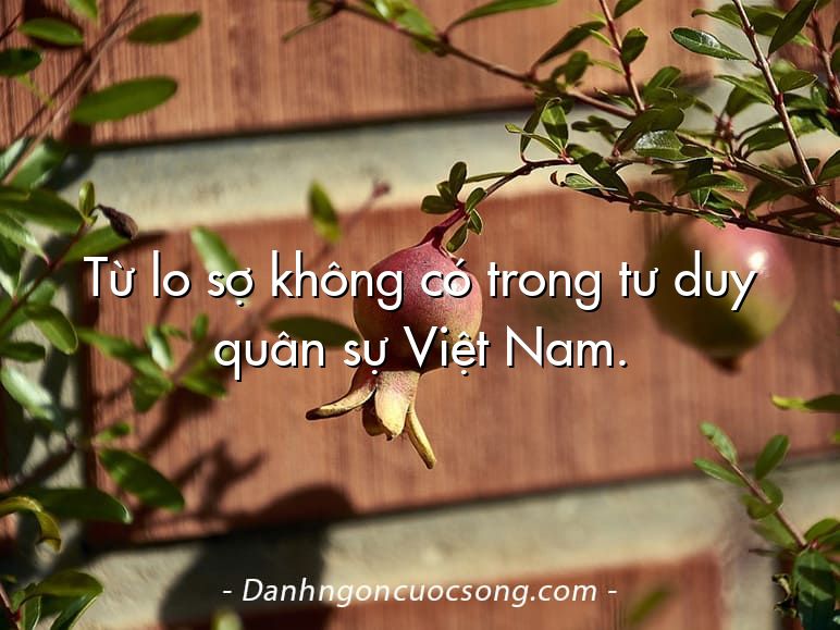 Từ lo sợ không có trong tư duy quân sự Việt Nam.