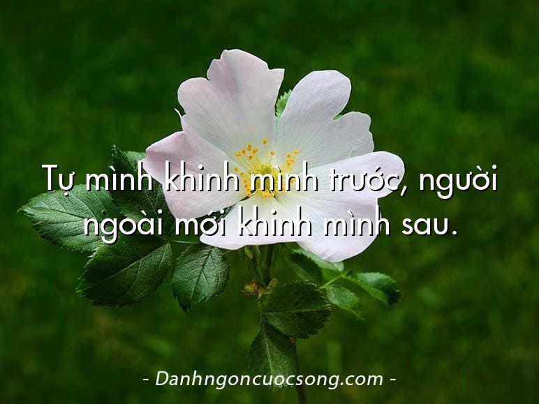 Tự mình khinh mình trước, người ngoài mới khinh mình sau.