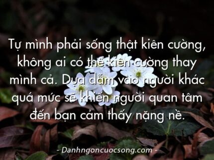 Tự mình phải sống thật kiên cường, không ai có thể kiên cường thay mình cả. Dựa dẫm vào người khác quá mức sẽ khiến người quan tâm đến bạn cảm thấy nặng nề.