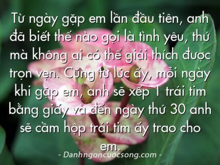 Từ ngày gặp em lần đầu tiên, anh đã biết thế nào gọi là tình yêu, thứ mà không ai có thể giải thích được trọn vẹn. Cũng từ lúc ấy, mỗi ngày khi gặp em, anh sẽ xếp 1 trái tim bằng giấy và đến ngày thứ 30 anh sẽ cầm hộp trái tim ấy trao cho em.