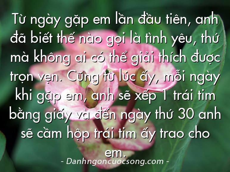 Từ ngày gặp em lần đầu tiên, anh đã biết thế nào gọi là tình yêu, thứ mà không ai có thể giải thích được trọn vẹn. Cũng từ lúc ấy, mỗi ngày khi gặp em, anh sẽ xếp 1 trái tim bằng giấy và đến ngày thứ 30 anh sẽ cầm hộp trái tim ấy trao cho em.