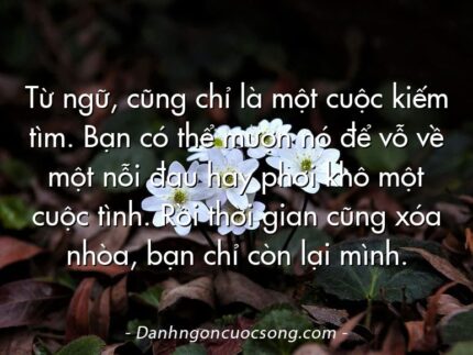 Từ ngữ, cũng chỉ là một cuộc kiếm tìm. Bạn có thể mượn nó để vỗ về một nỗi đau hay phơi khô một cuộc tình. Rồi thời gian cũng xóa nhòa, bạn chỉ còn lại mình.