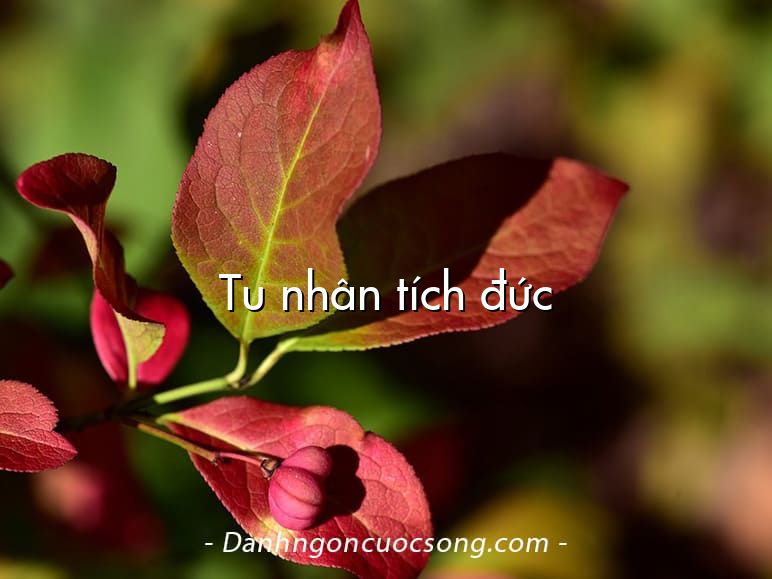 Tu nhân tích đức