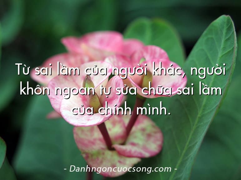Từ sai lầm của người khác, người khôn ngoan tự sửa chữa sai lầm của chính mình.