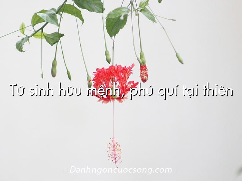 Tử sinh hữu mệnh, phú quí tại thiên
