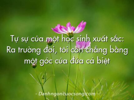 Tự sự của một học sinh xuất sắc: Ra trường đời, tôi còn chẳng bằng một góc của đứa cá biệt