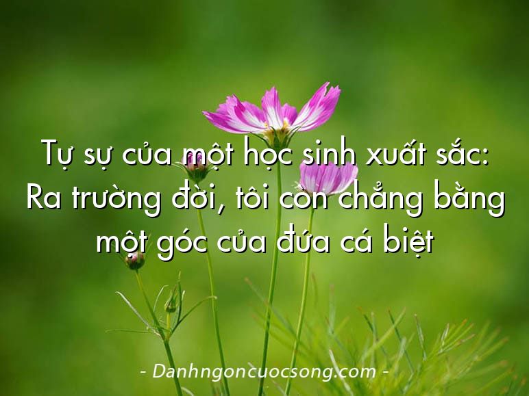 Tự sự của một học sinh xuất sắc: Ra trường đời, tôi còn chẳng bằng một góc của đứa cá biệt
