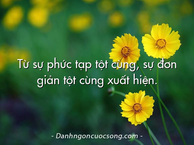 Từ sự phức tạp tột cùng, sự đơn giản tột cùng xuất hiện.