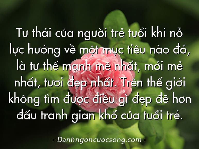 Tư thái của người trẻ tuổi khi nỗ lực hướng về một mục tiêu nào đó, là tư thế mạnh mẽ nhất, mới mẻ nhất, tươi đẹp nhất. Trên thế giới không tìm được điều gì đẹp đẽ hơn đấu tranh gian khổ của tuổi trẻ.