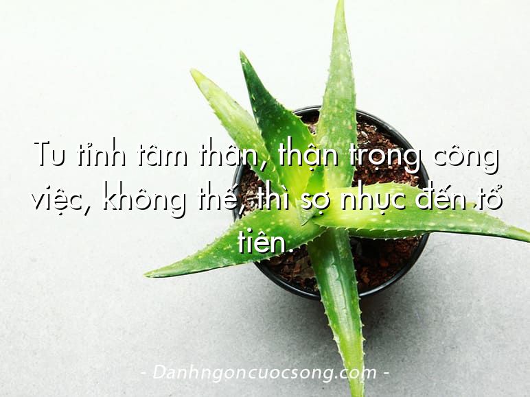 Tu tỉnh tâm thân, thận trọng công việc, không thế, thì sợ nhục đến tổ tiên.