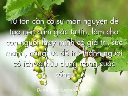 Tự tôn cần có sự mãn nguyện để tạo nên cảm giác tự tin, làm cho con người thấy mình có giá trị, sức mạnh, năng lực để trở thành người có ích và hữu dụng trong cuộc sống.