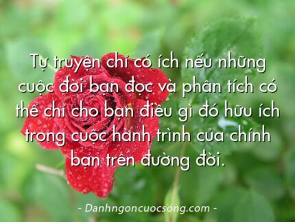 Tự truyện chỉ có ích nếu những cuộc đời bạn đọc và phân tích có thể chỉ cho bạn điều gì đó hữu ích trong cuộc hành trình của chính bạn trên đường đời.
