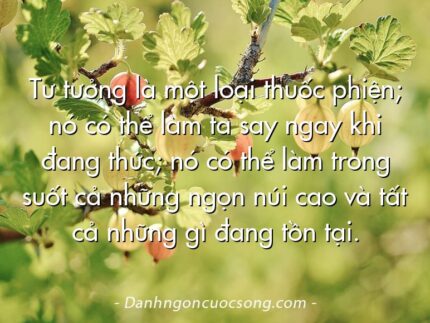 Tư tưởng là một loại thuốc phiện; nó có thể làm ta say ngay khi đang thức; nó có thể làm trong suốt cả những ngọn núi cao và tất cả những gì đang tồn tại.