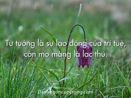 Tư tưởng là sự lao động của trí tuệ, còn mơ màng là lạc thú.