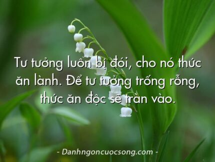 Tư tưởng luôn bị đói, cho nó thức ăn lành. Để tư tưởng trống rỗng, thức ăn độc sẽ tràn vào.