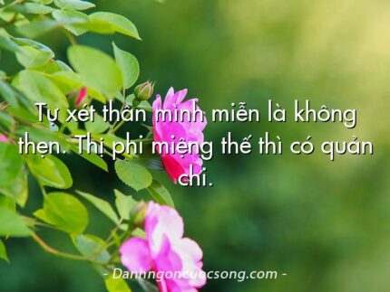 Tự xét thân mình miễn là không thẹn. Thị phi miệng thế thì có quản chi.