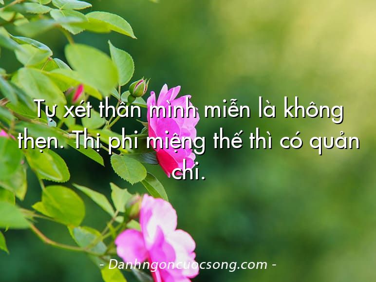 Tự xét thân mình miễn là không thẹn. Thị phi miệng thế thì có quản chi.